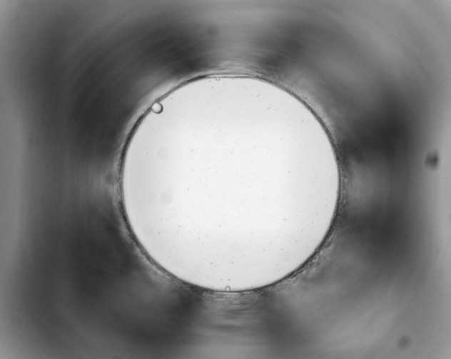 X0000103931485200810101341