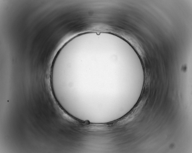 X0000103931486200810101341