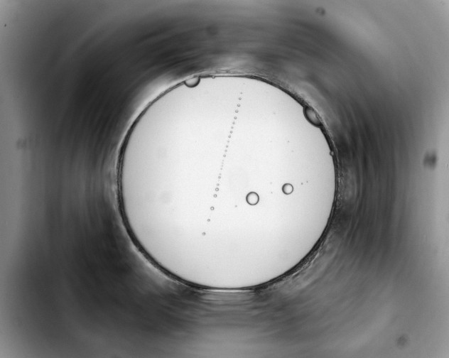 X0000103931487200810101341