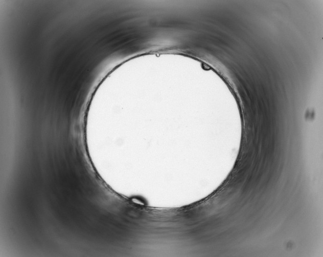 X0000103931488200810101341