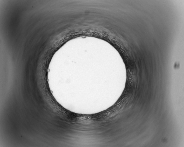 X0000103931489200810101341