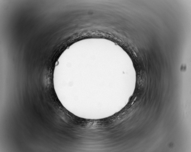 X0000103931490200810101341