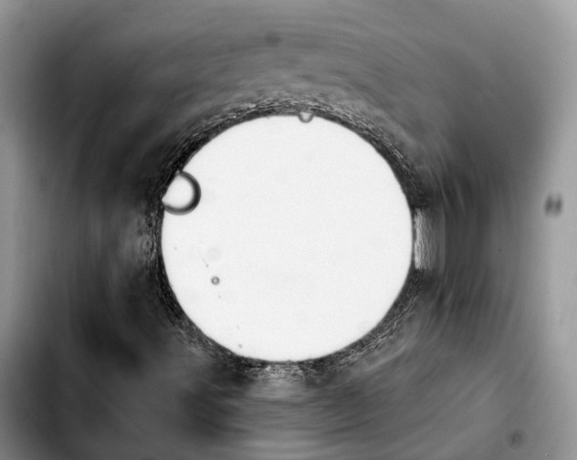 X0000103931491200810101341