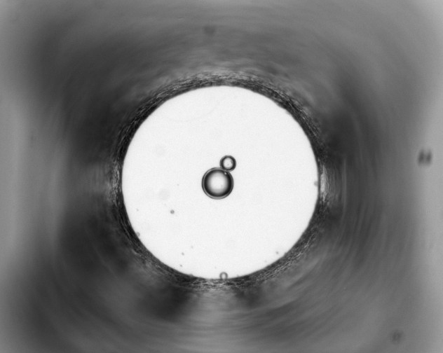 X0000103931492200810101341