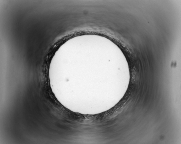 X0000103931494200810101341