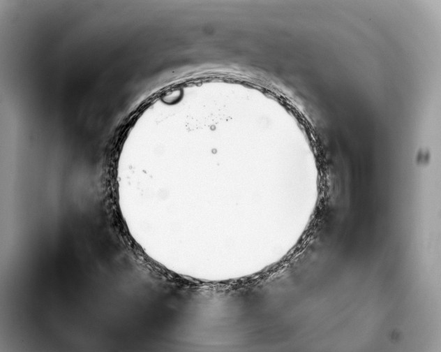 X0000103931496200810101341