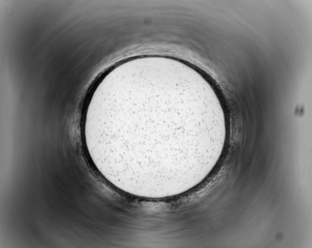 X0000103931498200810101341