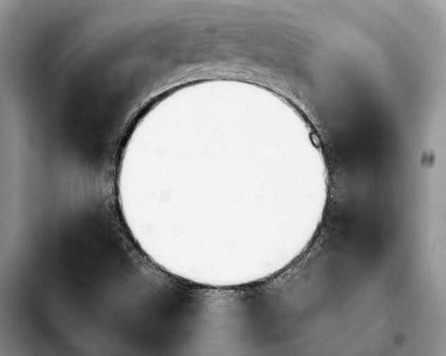 X0000103931499200810101341