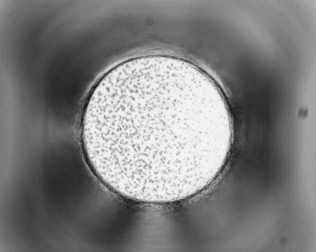 X0000103931500200810101341