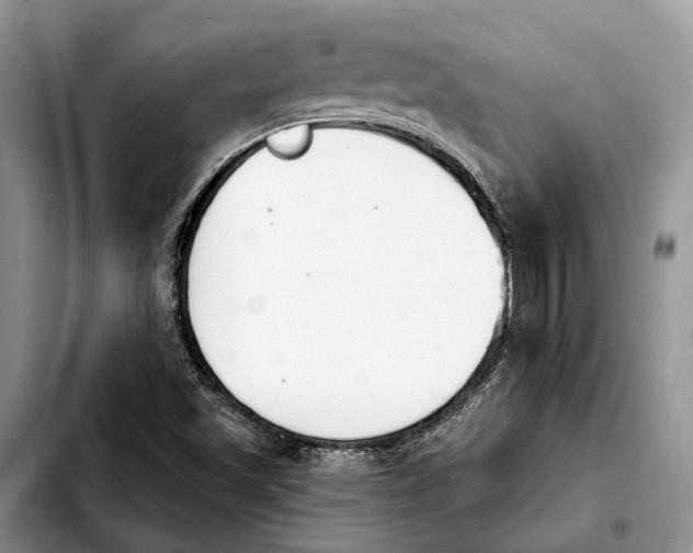 X0000103931501200810101341