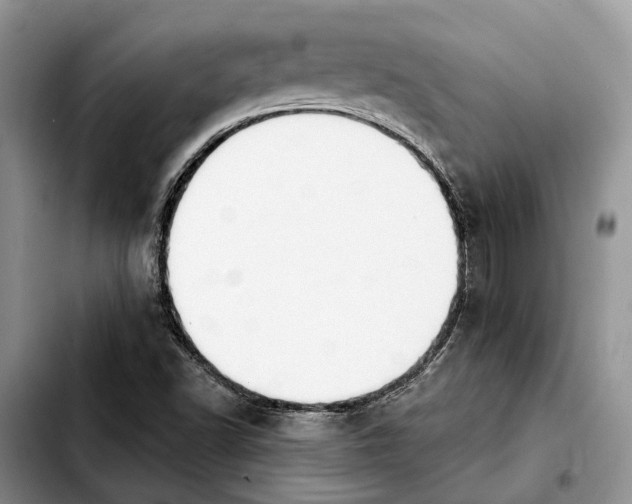 X0000103931502200810101341