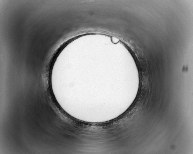 X0000103931503200810101341