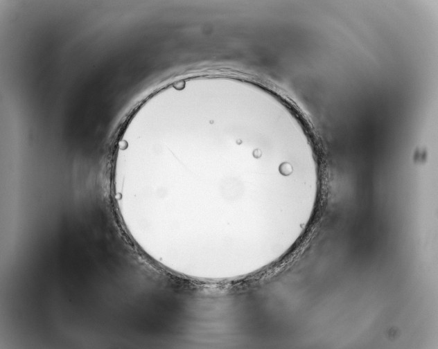 X0000103931504200810101341