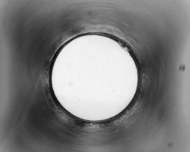 X0000103931505200810101341