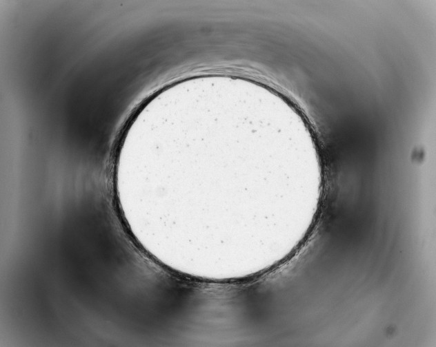 X0000103931506200810101341