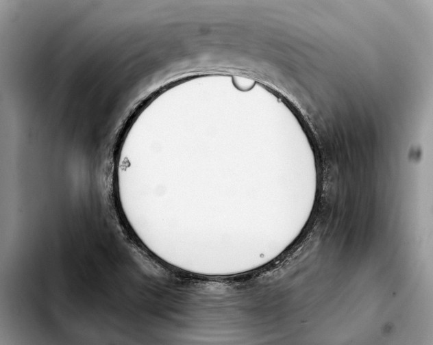 X0000103931507200810101341