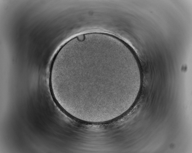 X0000103931508200810101341