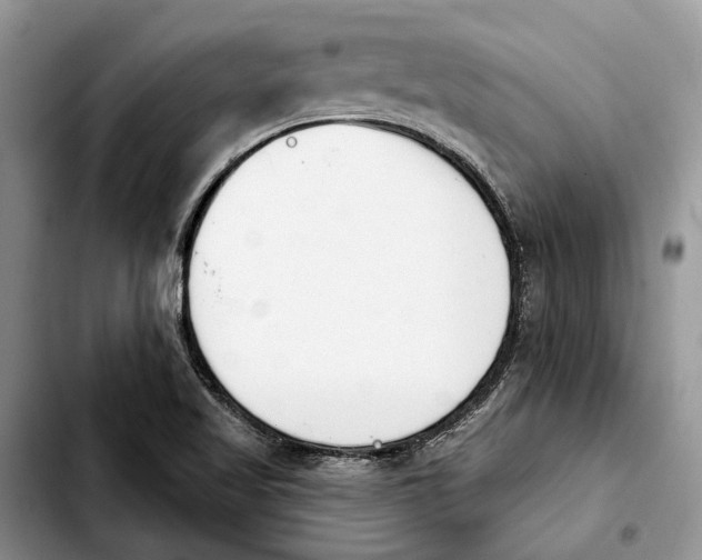 X0000103931509200810101341