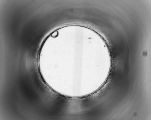 X0000103931510200810101341