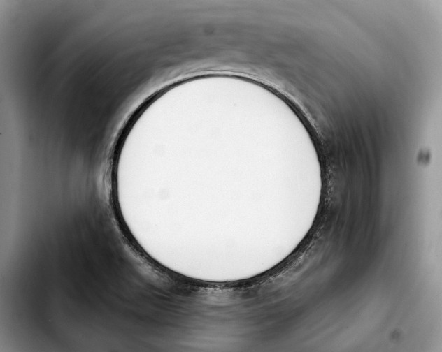 X0000103931511200810101341