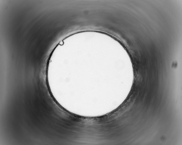 X0000103931512200810101341