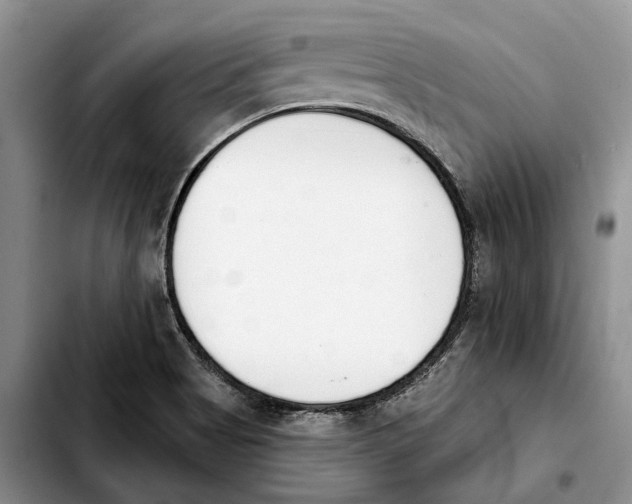 X0000103931513200810101341