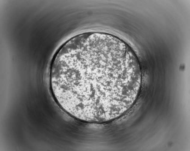 X0000103931514200810101341