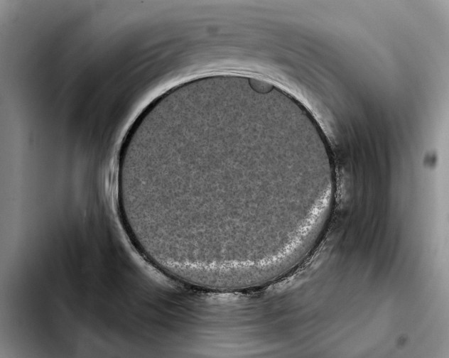 X0000103931515200810101341