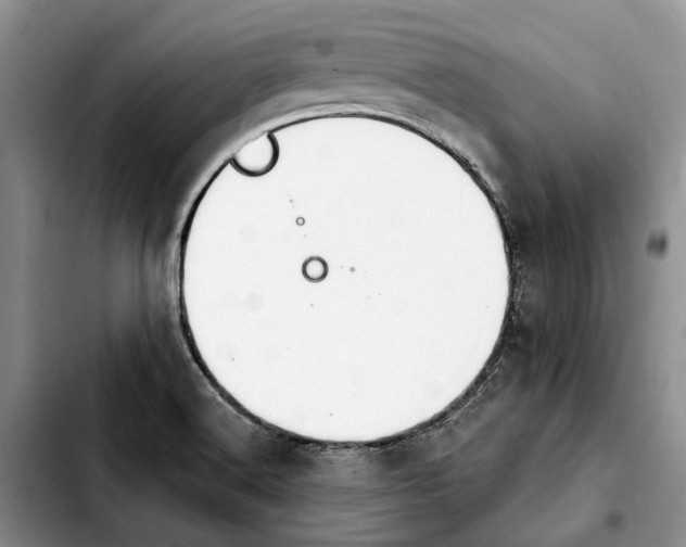 X0000103931516200810101341