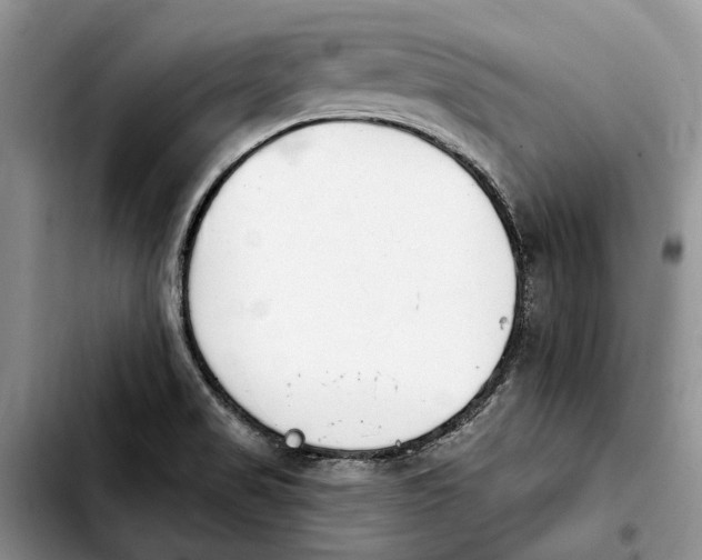 X0000103931517200810101341