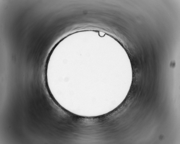 X0000103931518200810101341