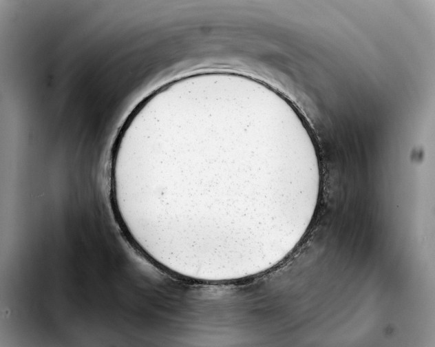 X0000103931519200810101341