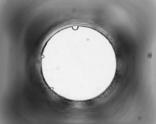 X0000103931520200810101341