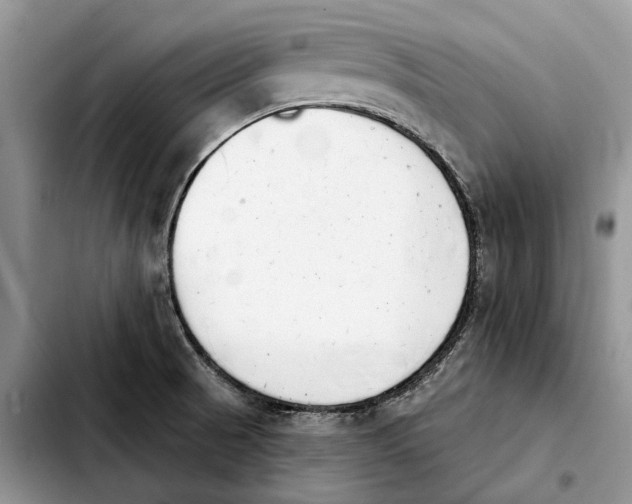 X0000103931521200810101341