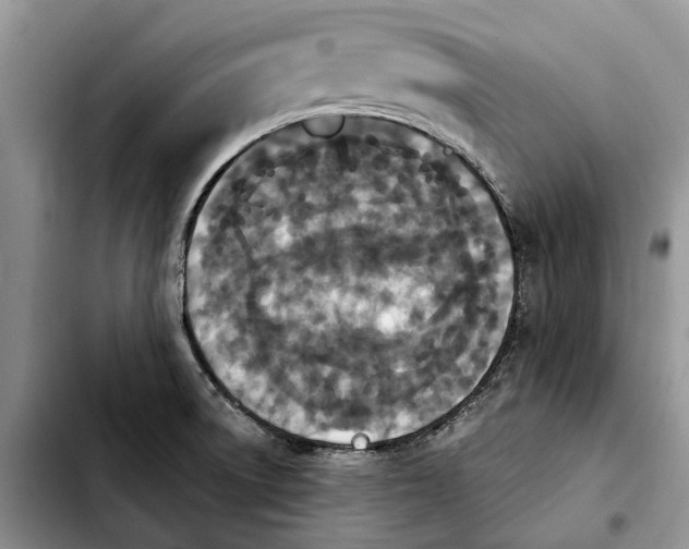 X0000103931522200810101341