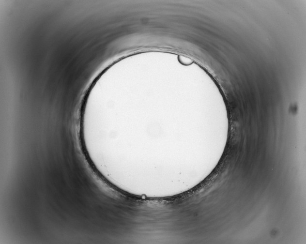 X0000103931523200810101341