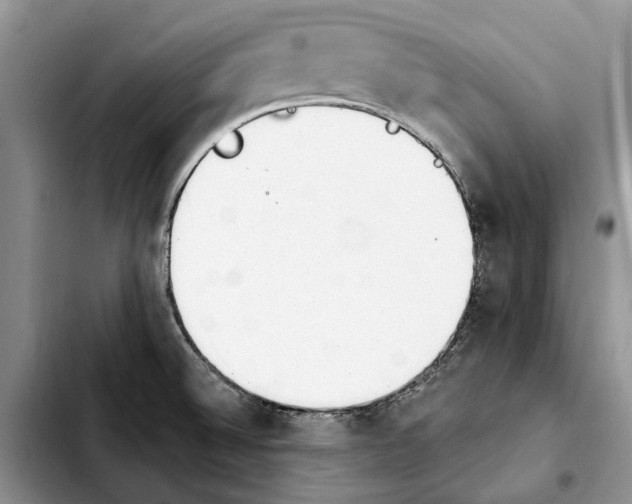 X0000103931524200810101341