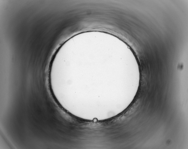 X0000103931525200810101341