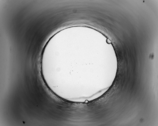 X0000103931526200810101341