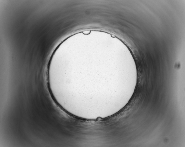 X0000103931527200810101341