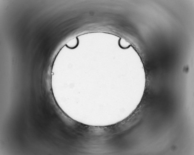 X0000103931528200810101341