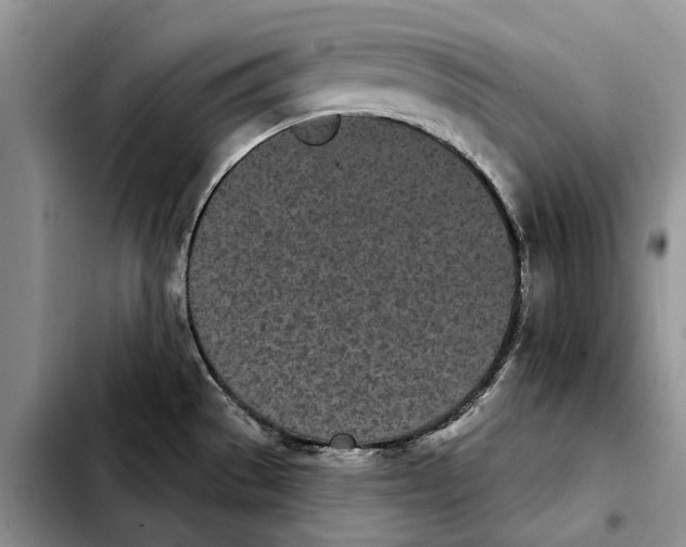 X0000103931529200810101341