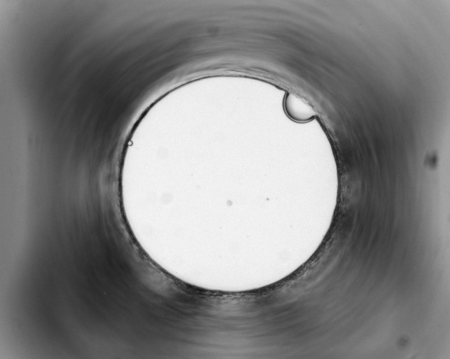 X0000103931530200810101341