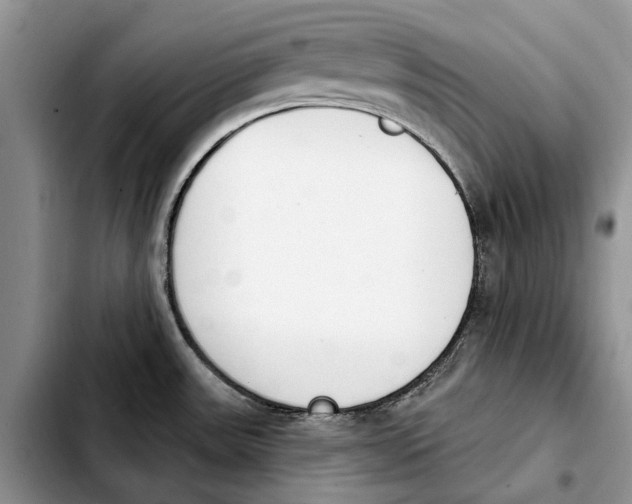 X0000103931531200810101341