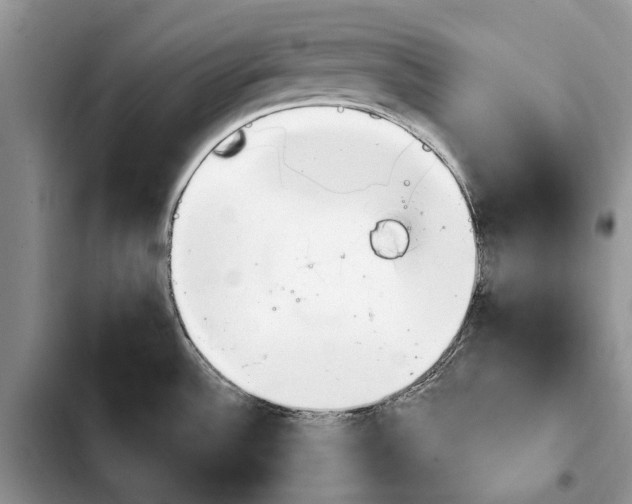 X0000103931532200810101341