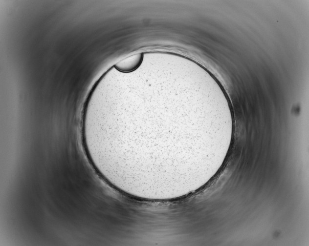 X0000103931533200810101341