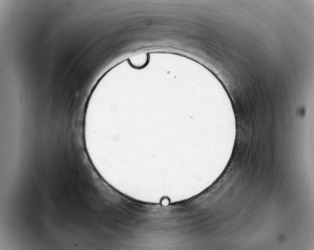 X0000103931534200810101341