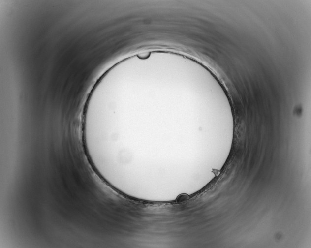 X0000103931535200810101341