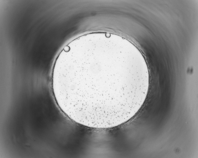 X0000103931536200810101341