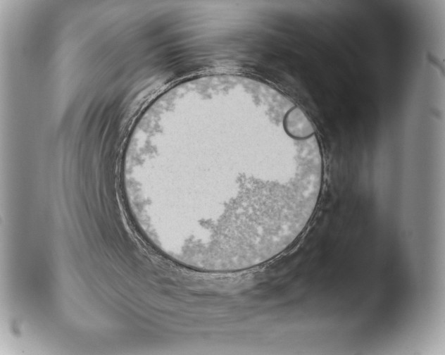 X0000103930001200810171802